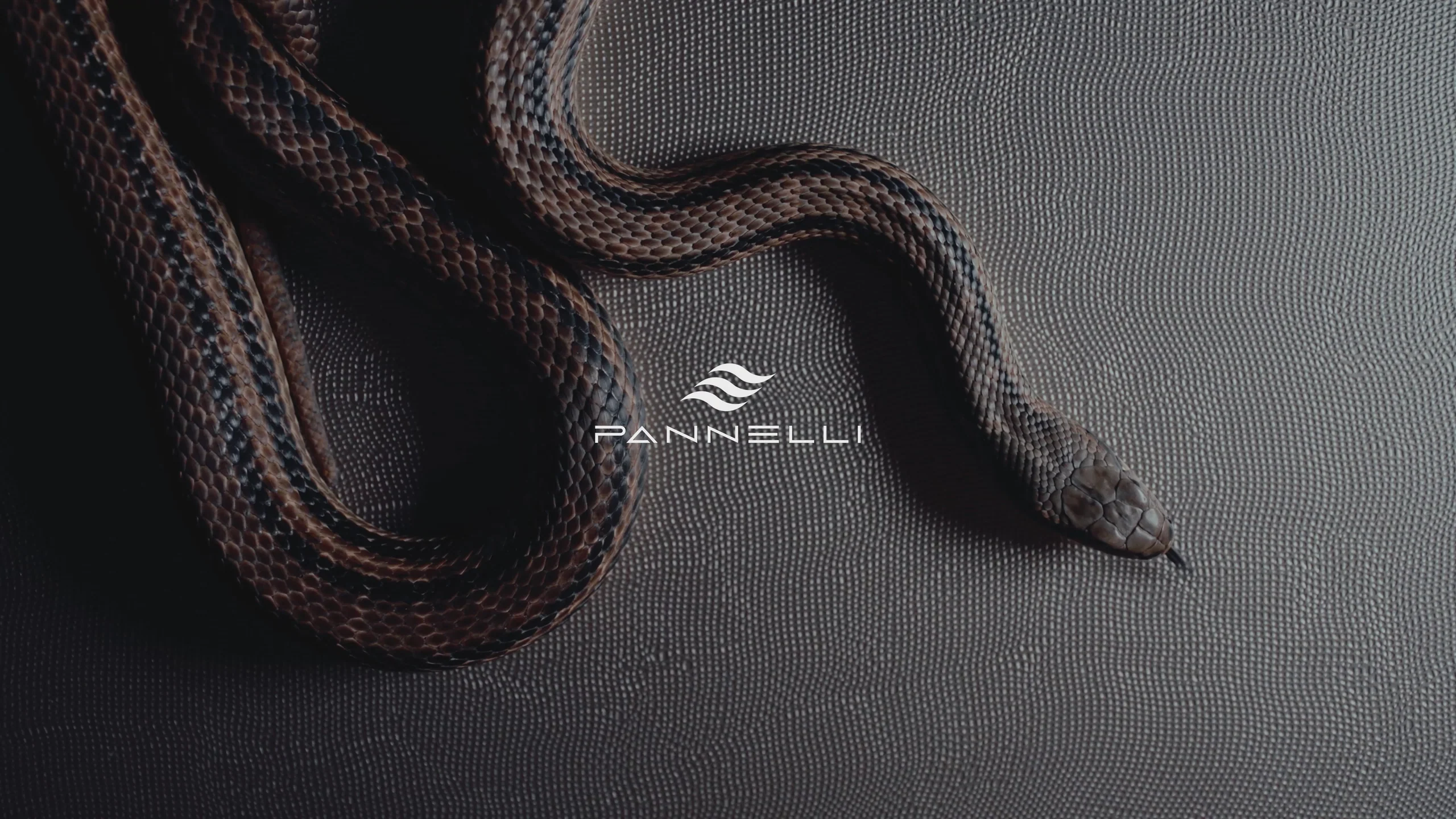 Elevate Your Space with Pannelli