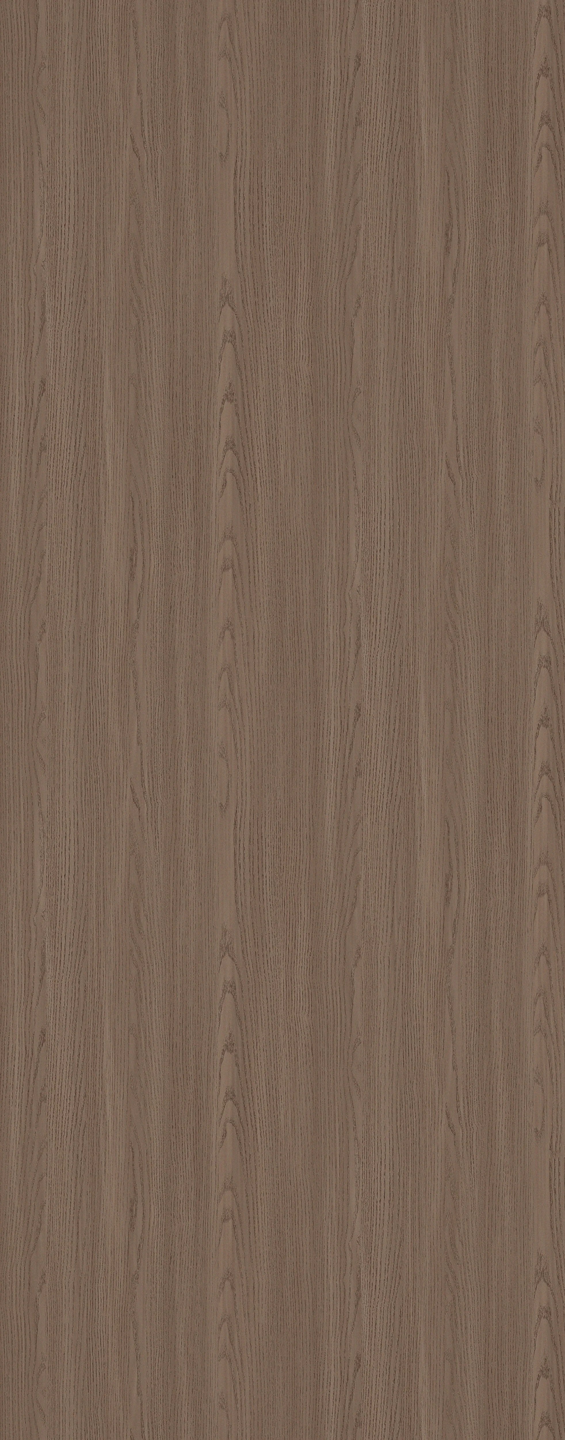 Birch Wood - Flat Panel - Image 3