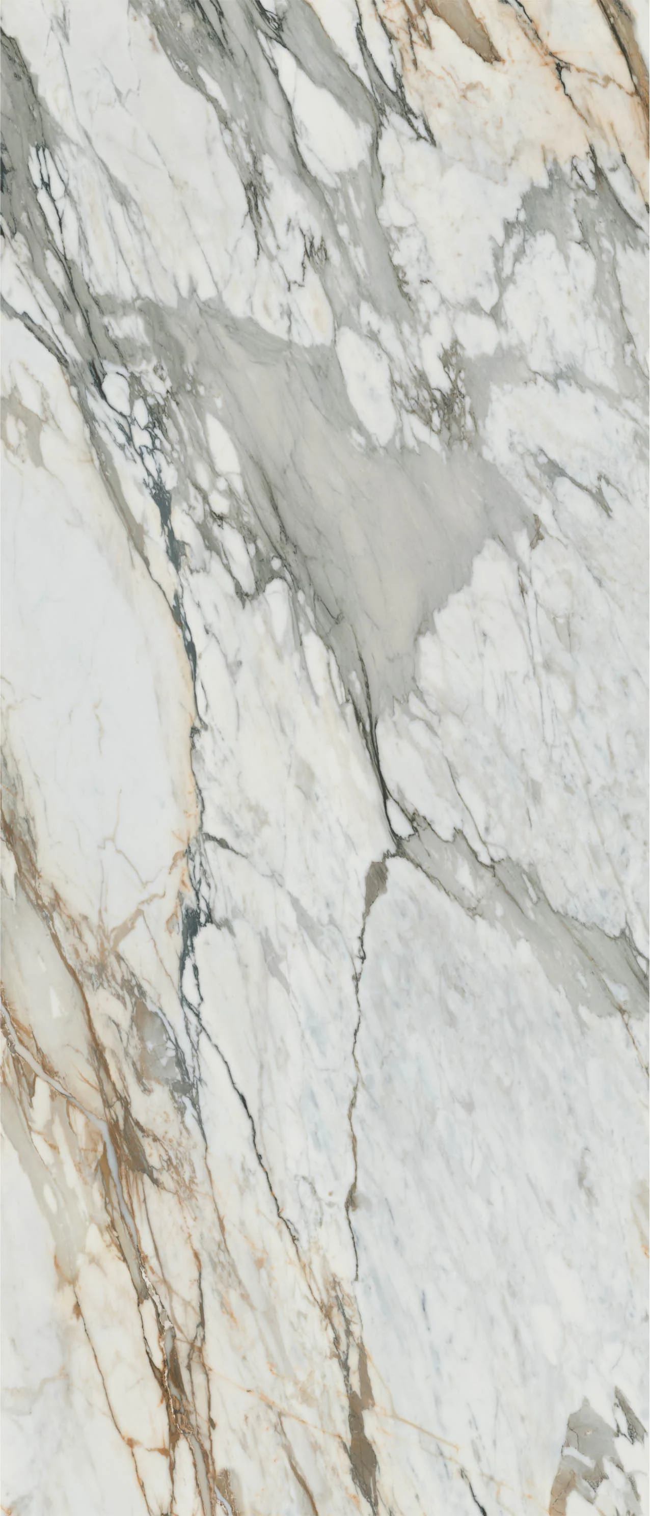 HD 9099 - Flat Panel - Image 5
